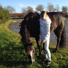 Anden særlig race Luper