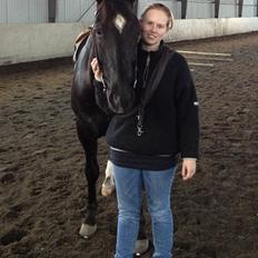 Quarter San Par Vision