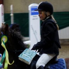 Welsh Mountain (sec A) Petra’s Dienie (Daisy) <3