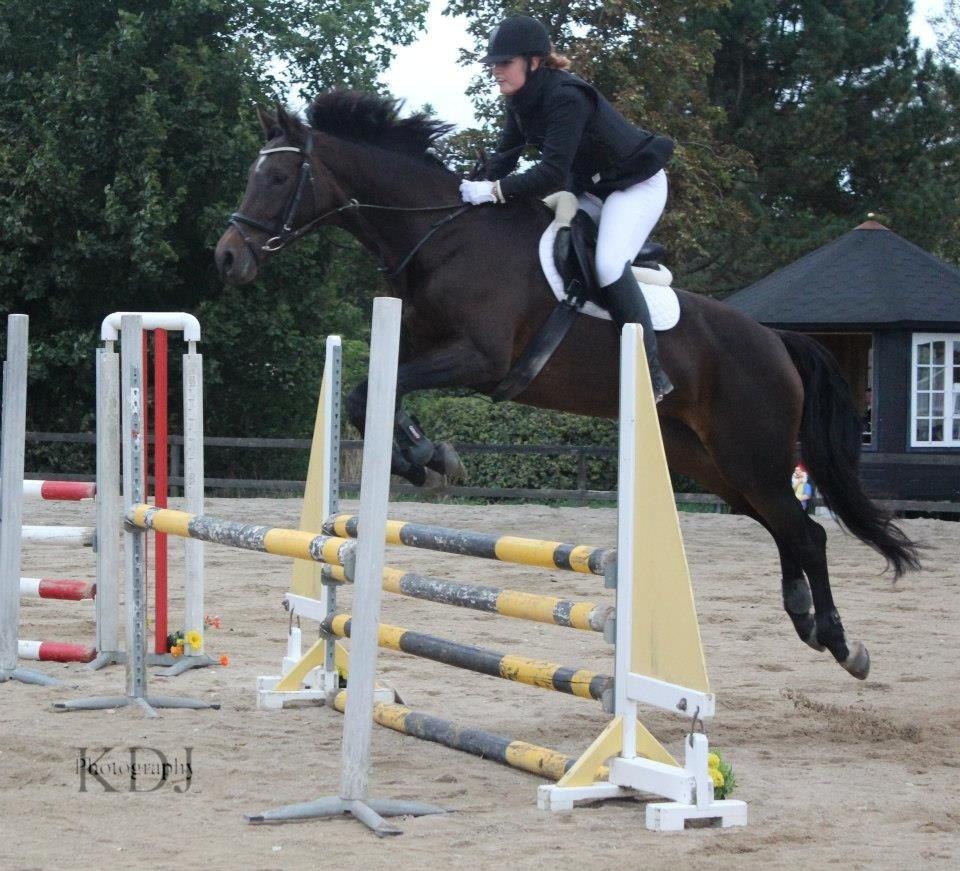 Dansk Varmblod He-Le´s Najda billede 12