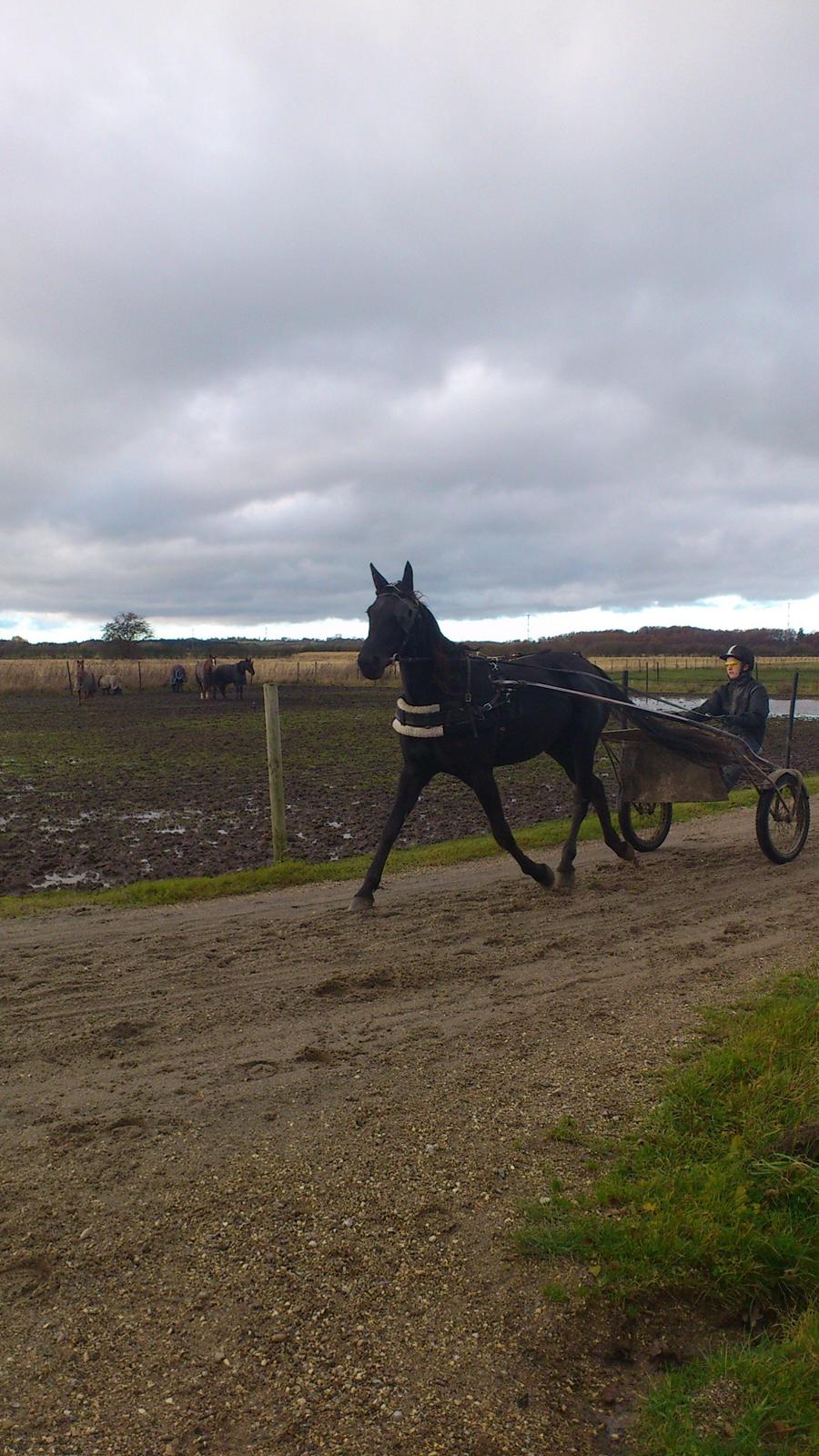 Traver Trendy Simoni ¤Leveret tilbage¤ - Trendy & Søster varmer til intervaltræning<3 billede 10