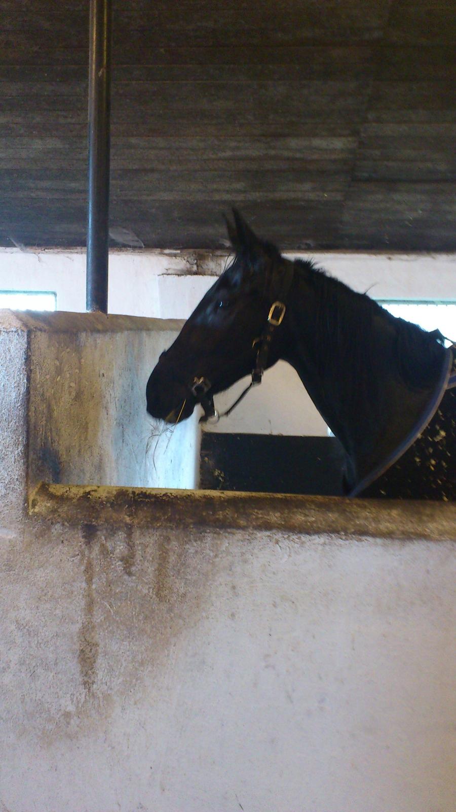 Traver Trendy Simoni ¤Leveret tilbage¤ - Meget optaget af lyden af vognvaskning :) billede 11