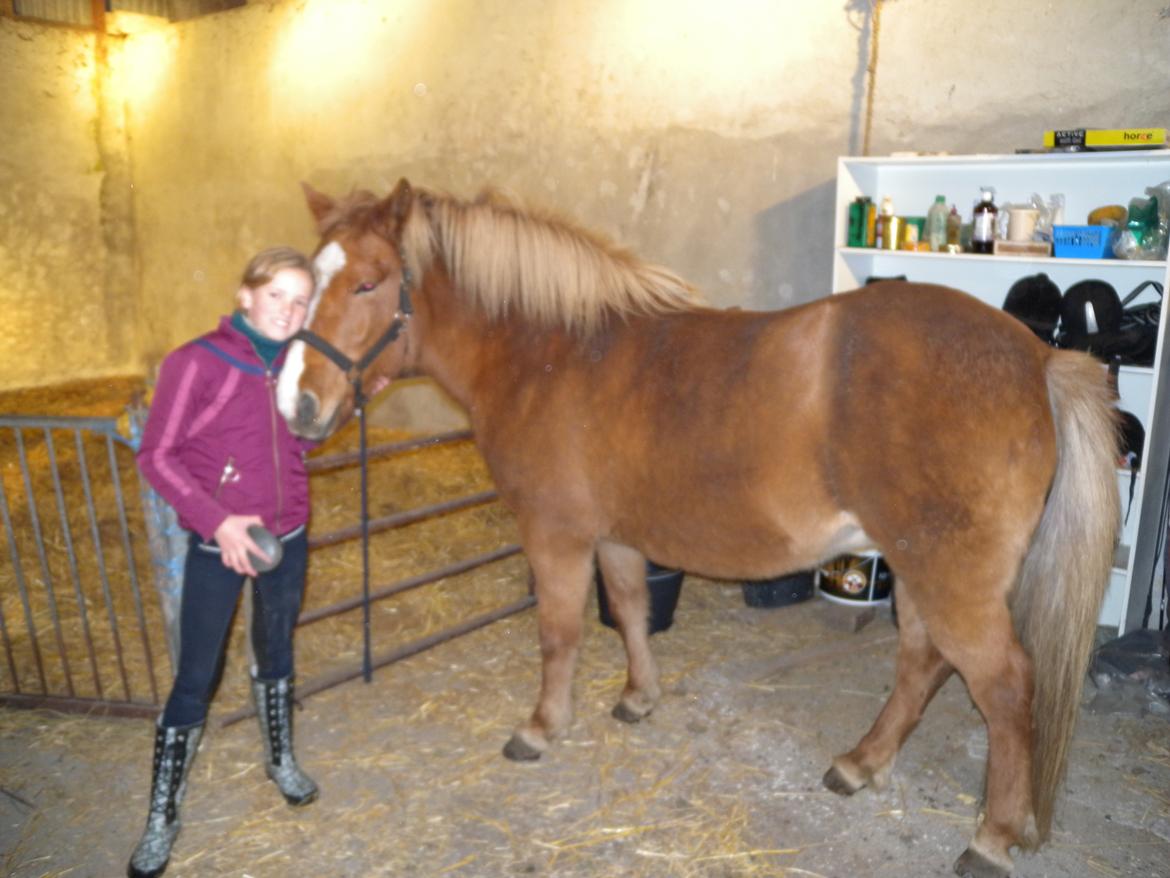 Islænder Dufa fra Caspers Gård - Min datter og Dufa billede 4