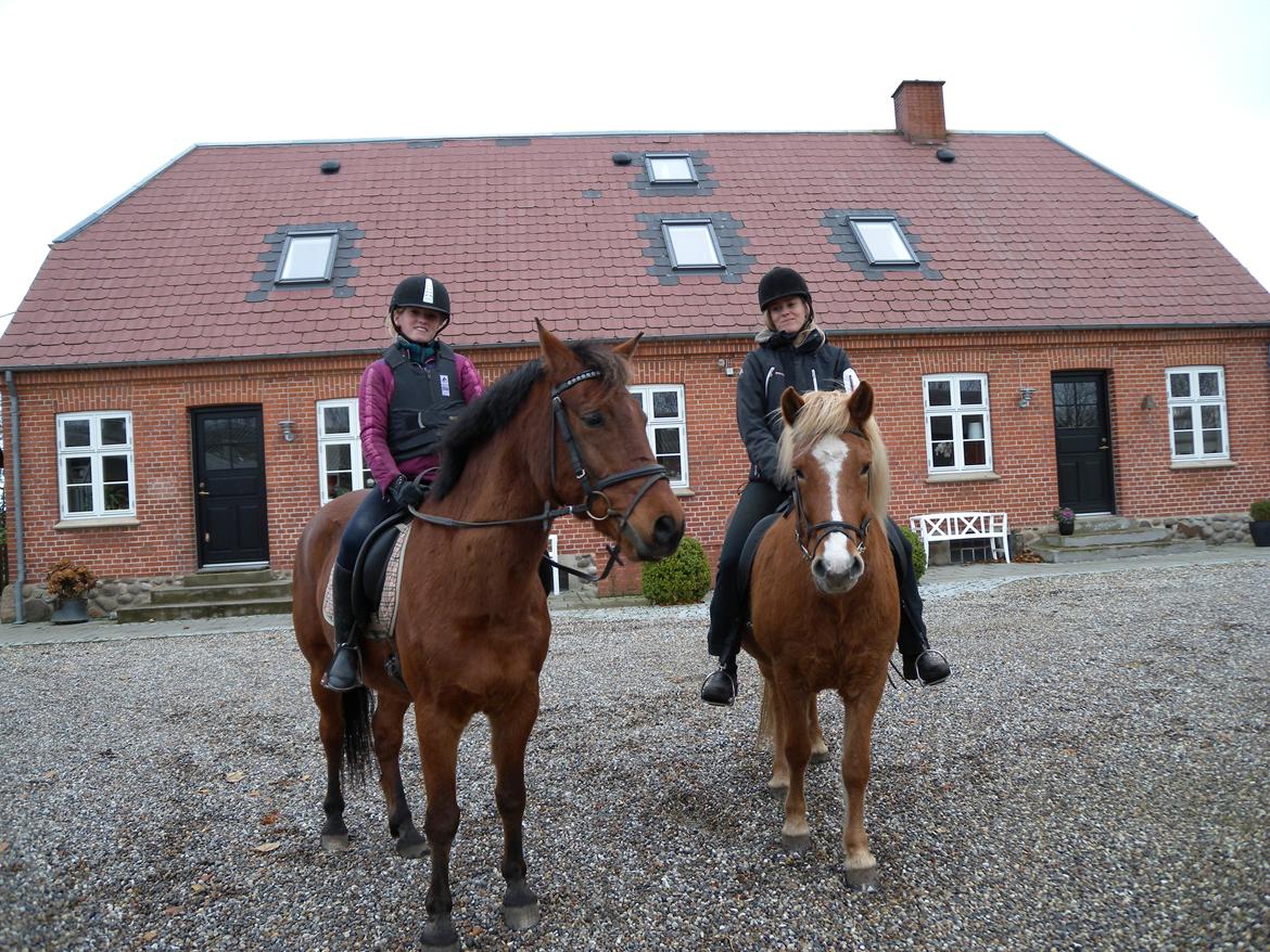 Islænder Dufa fra Caspers Gård - Skønt at kunne ride med sin datter billede 8