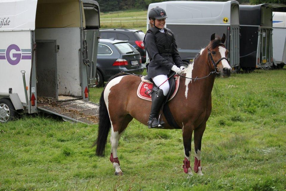 Pinto Bontje<3 (SOLGT) billede 6