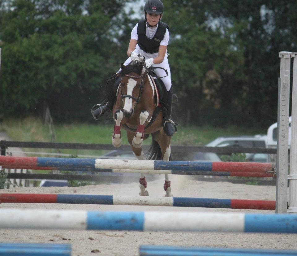 Pinto Bontje<3 (SOLGT) billede 3