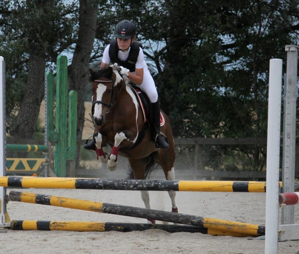 Pinto Bontje<3 (SOLGT) billede 8