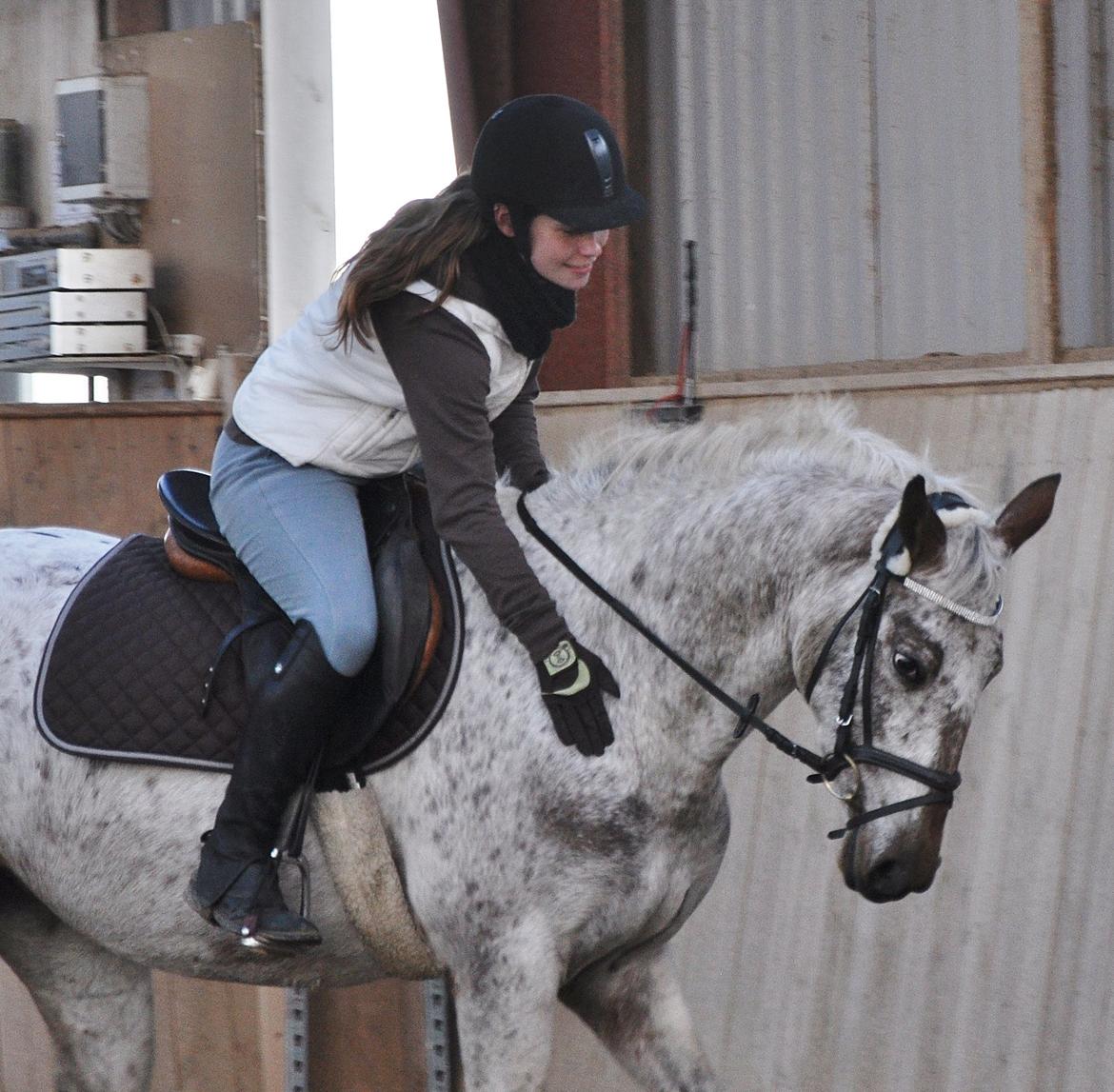 Appaloosa Cassiopaia - ♥ billede 12