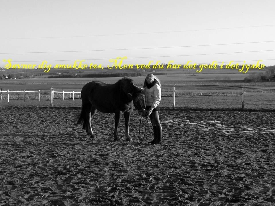 Anden særlig race Blisser billede 2