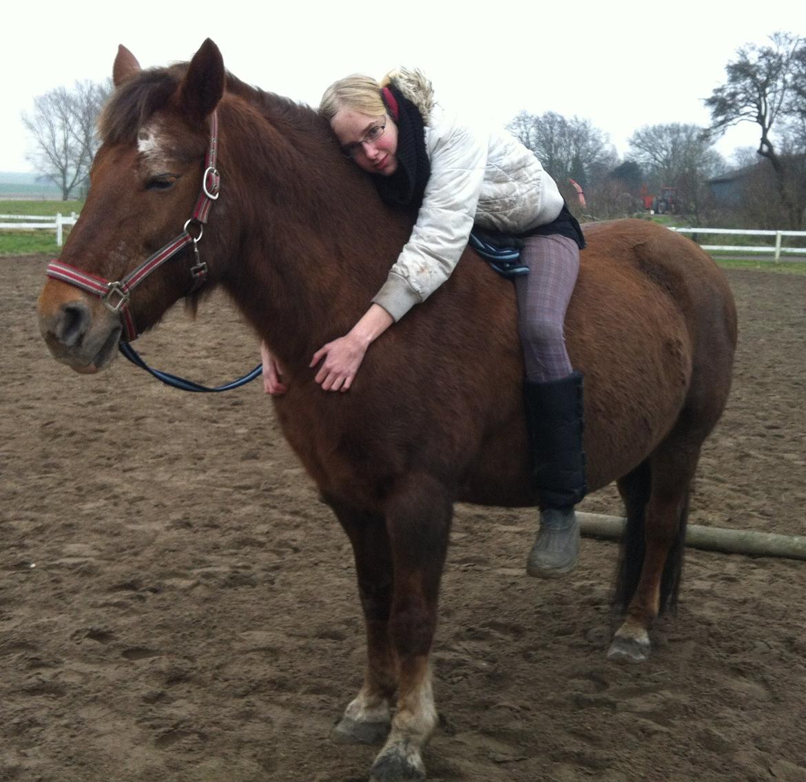 Anden særlig race Blisser billede 6