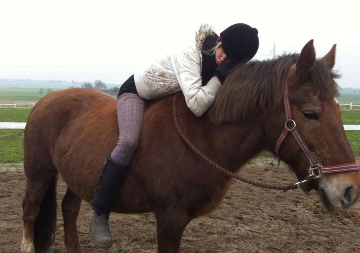 Anden særlig race Blisser billede 8