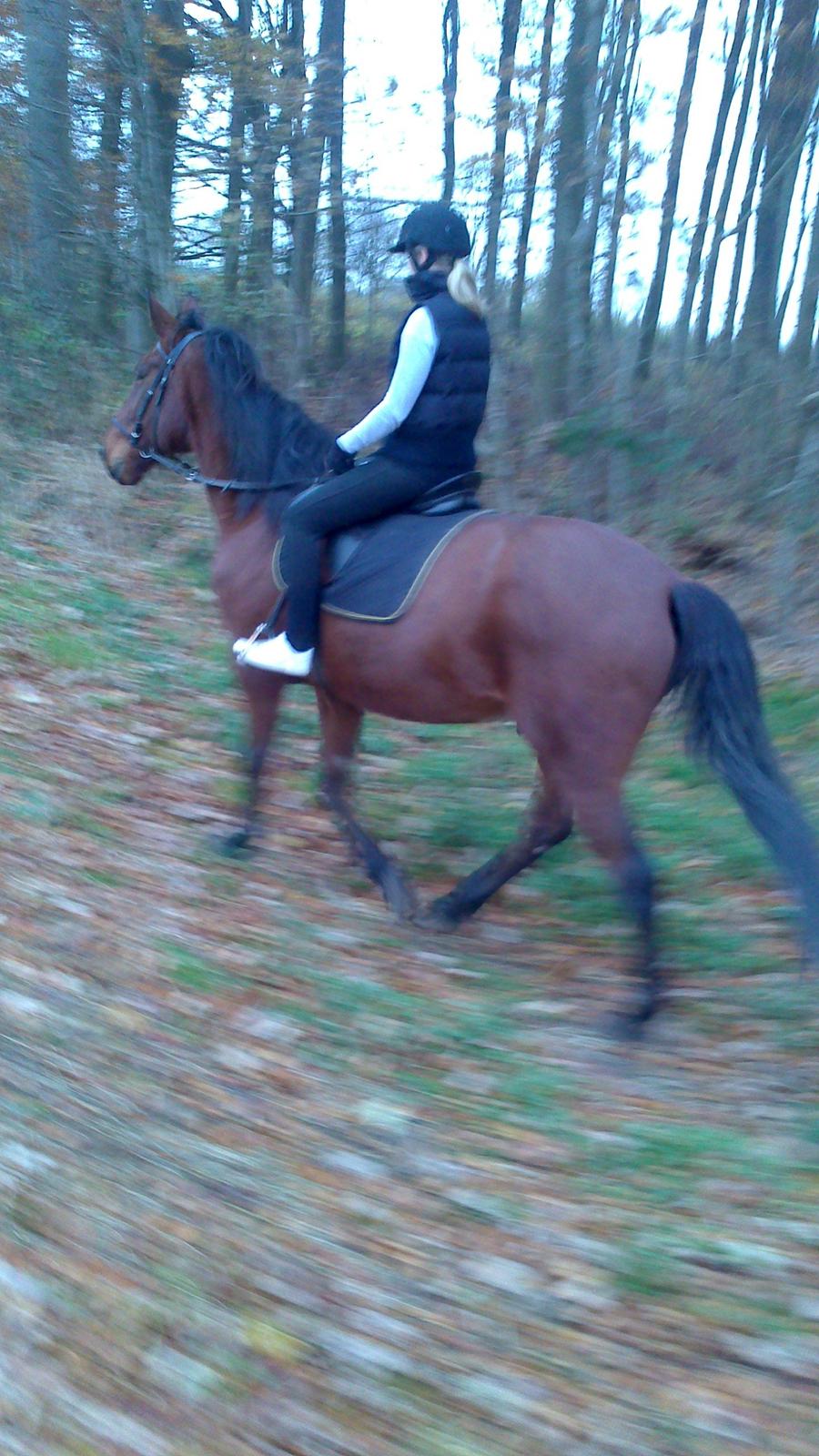 Traver Mike Rechnagel billede 14