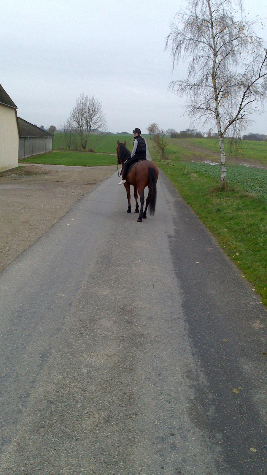 Traver Mike Rechnagel billede 15