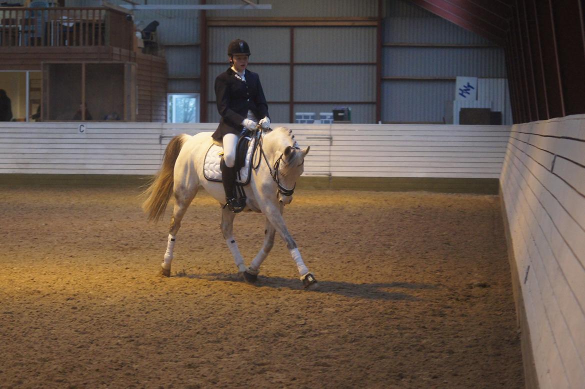 DSP Hannibal - Stævne i VAS d. 10/11 2012 
Sidste stævne på ponyen <3  billede 19