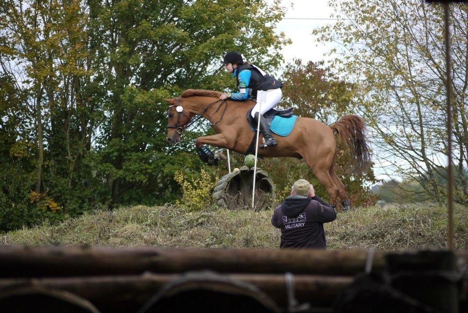 Hollandsk Sportspony Marien - Haslev 2012, Cncp90, 2. Plads billede 4