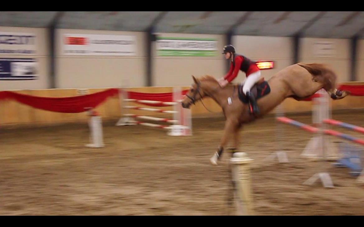 Anden særlig race Mañaña *STJERNE* - STjerne LB2**: 4 fejl ;) billede 17