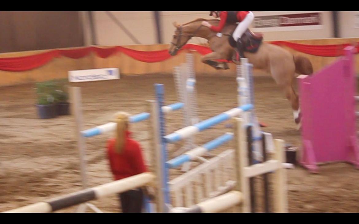 Anden særlig race Mañaña *STJERNE* - Første LA 4 fejl :) billede 18