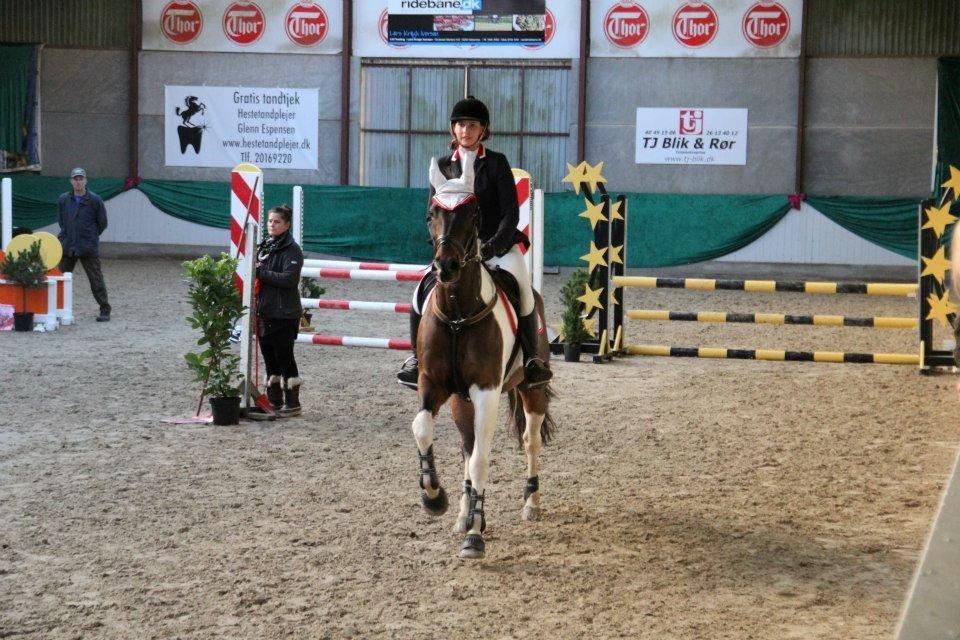 Pinto My Promise - 2# billede 2