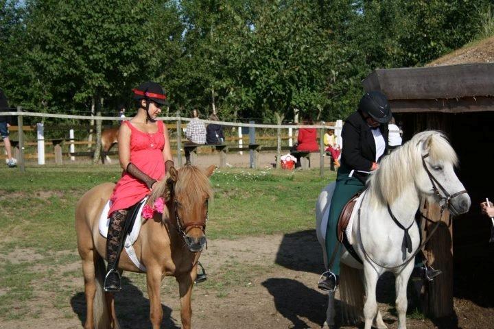 Islænder Röskva fra Skanderup (1992 - 2014) billede 19