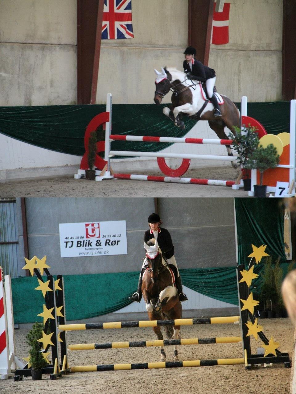 Pinto My Promise - 4# billede 4