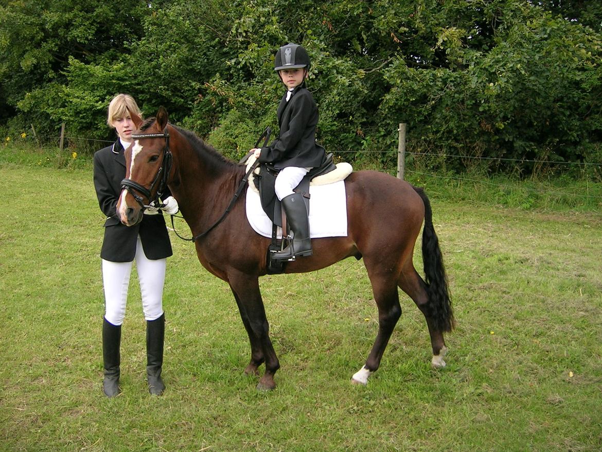 New Forest Freedom   [Himmelhest] billede 5