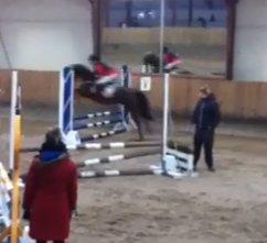 Anden særlig race LUNDGAARD'S COINTREAU - SOLGT billede 15