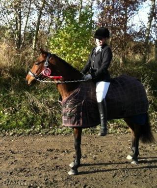 Anden særlig race LUNDGAARD'S COINTREAU - SOLGT - 1. plads til Cointreaus første stævne :-) billede 16