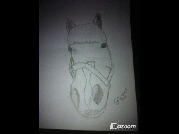 Anden særlig race Ginger <3 - Det er et billed Anne Katrine lavede til mig<3 Hendes profil hedder : Vi to for ALTID, der kan i også se det:) billede 11