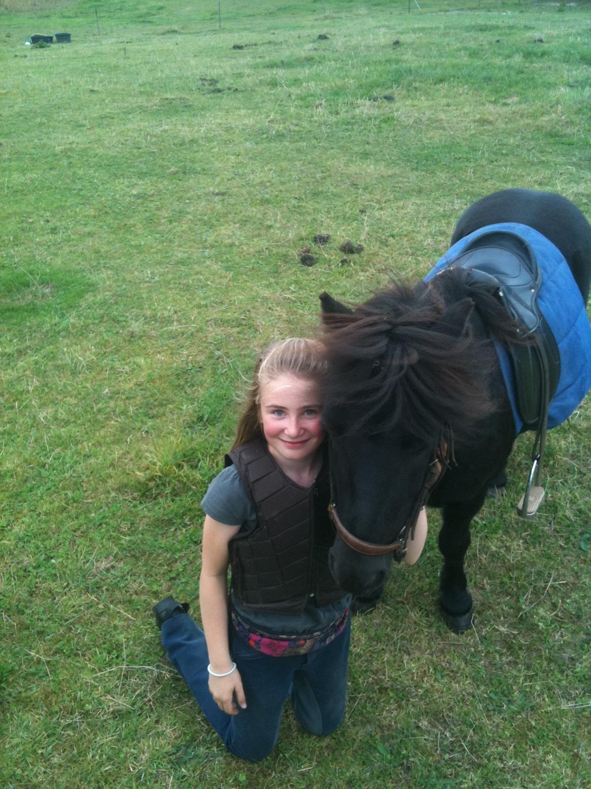 Shetlænder Paw af Ellebrud (himmelhest) - Paw og Iben på marken:)<33!! billede 8