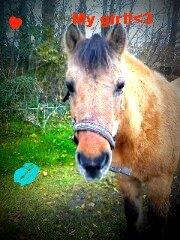 Anden særlig race Blinka<3 - Hvordan kan jeg være så heldig at have en som dig?? <3  
du er min lille prinsesse!!!<3<3<3 billede 6