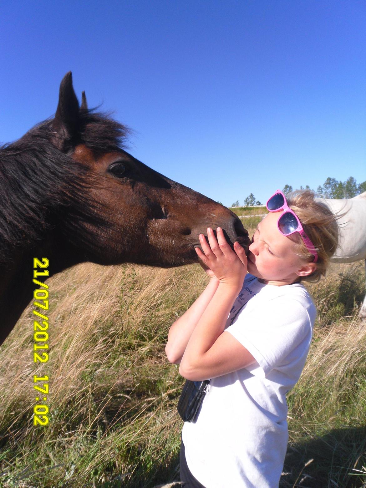 Mangalarga Marchador polly!!! <3 - Polly you're wonderful  words we might all, 
you & me
 I will never forget you and the band we have varb incredible you will be missed enormously much I will always love you!!!! <'33: '(:' ( billede 2
