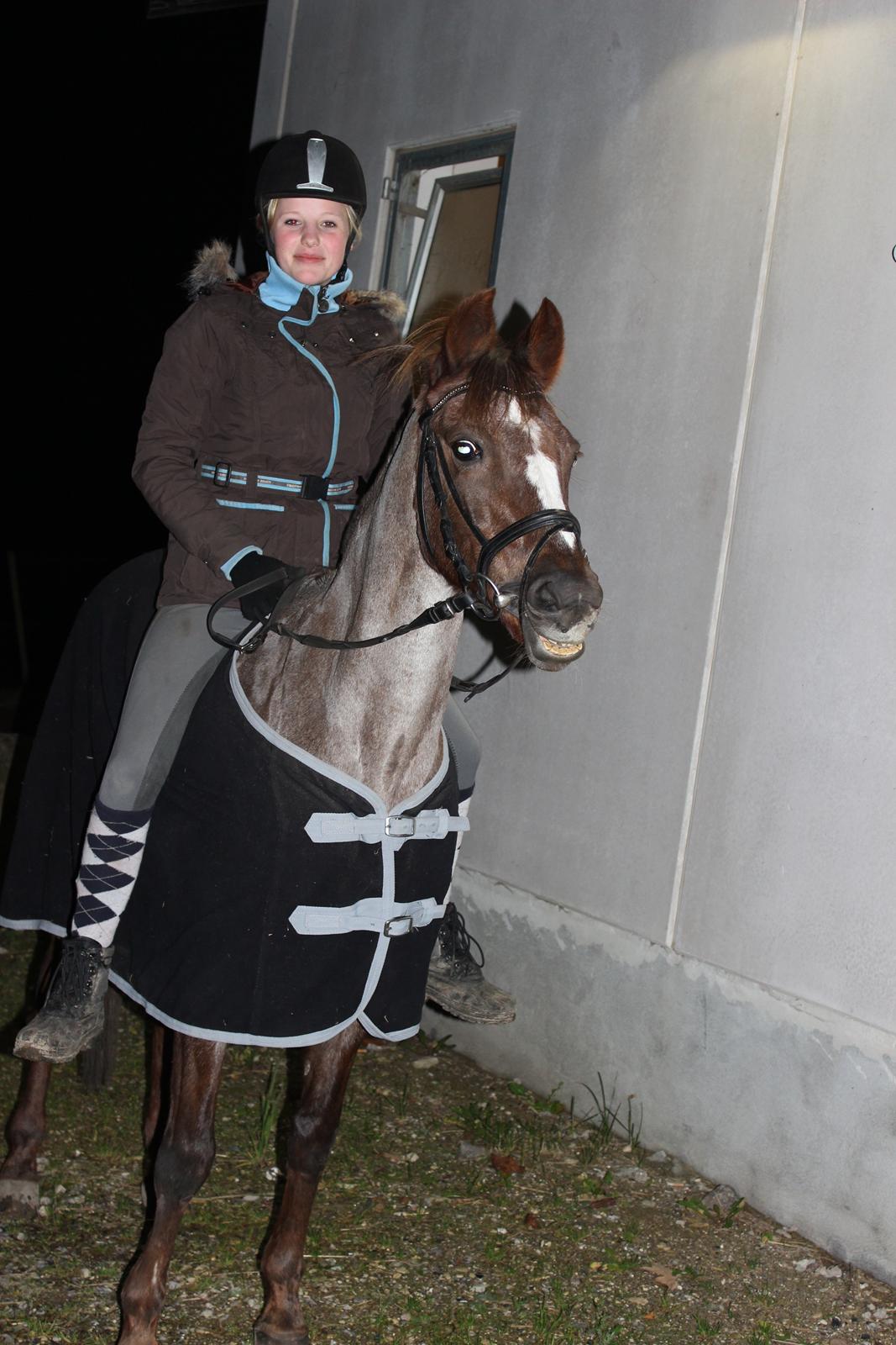 Anden særlig race Golden Wind [Tidl. part] - Dejlige pony<3 billede 7