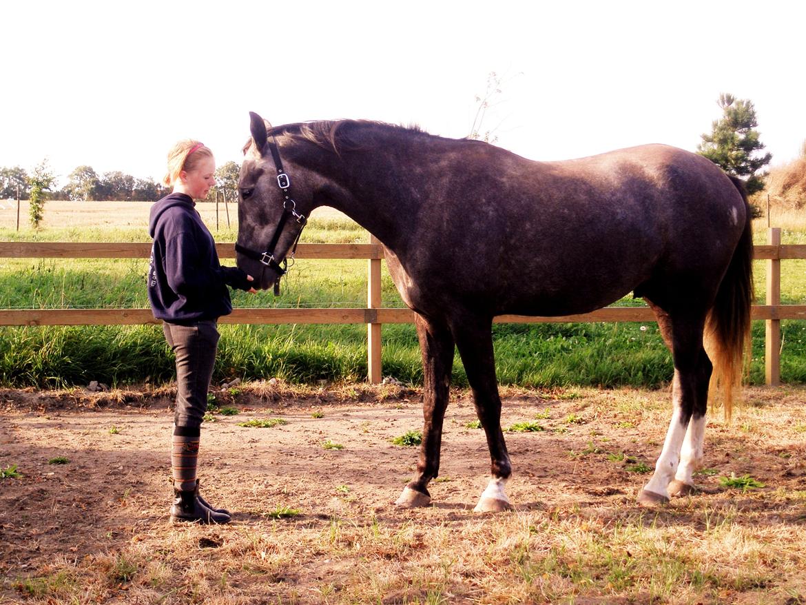 Anden særlig race Bjørnegård's Mio billede 15