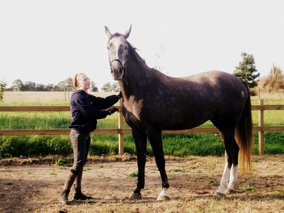Anden særlig race Bjørnegård's Mio billede 16