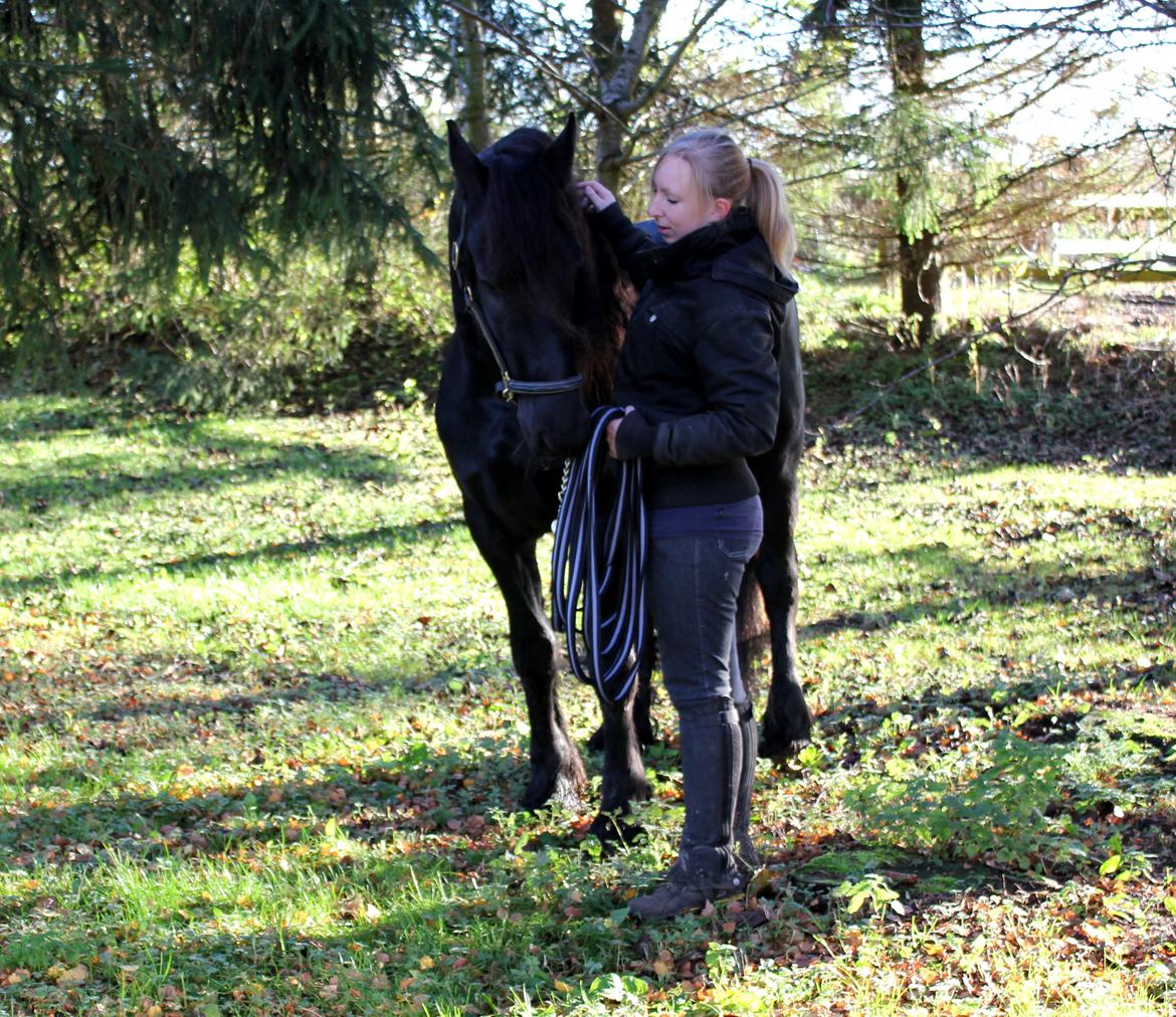 Frieser Ate fan'e Sânmar billede 24