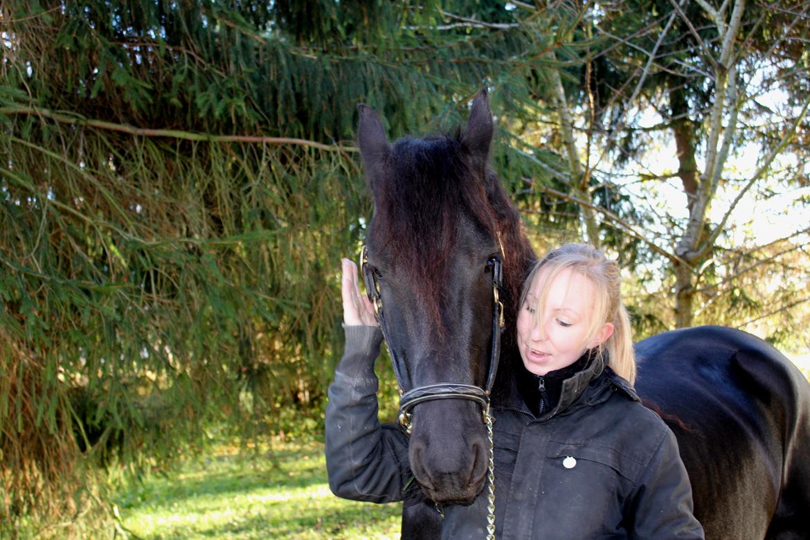 Frieser Ate fan'e Sânmar billede 25