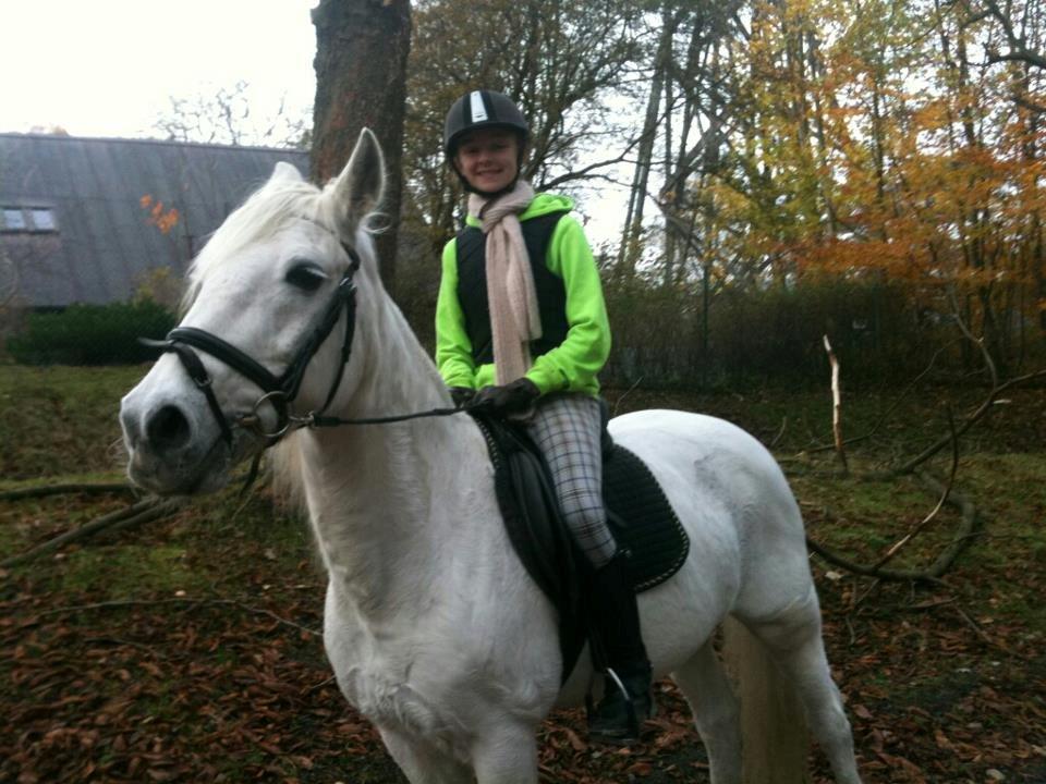 Connemara Flash Point - dyrehaven billede 6