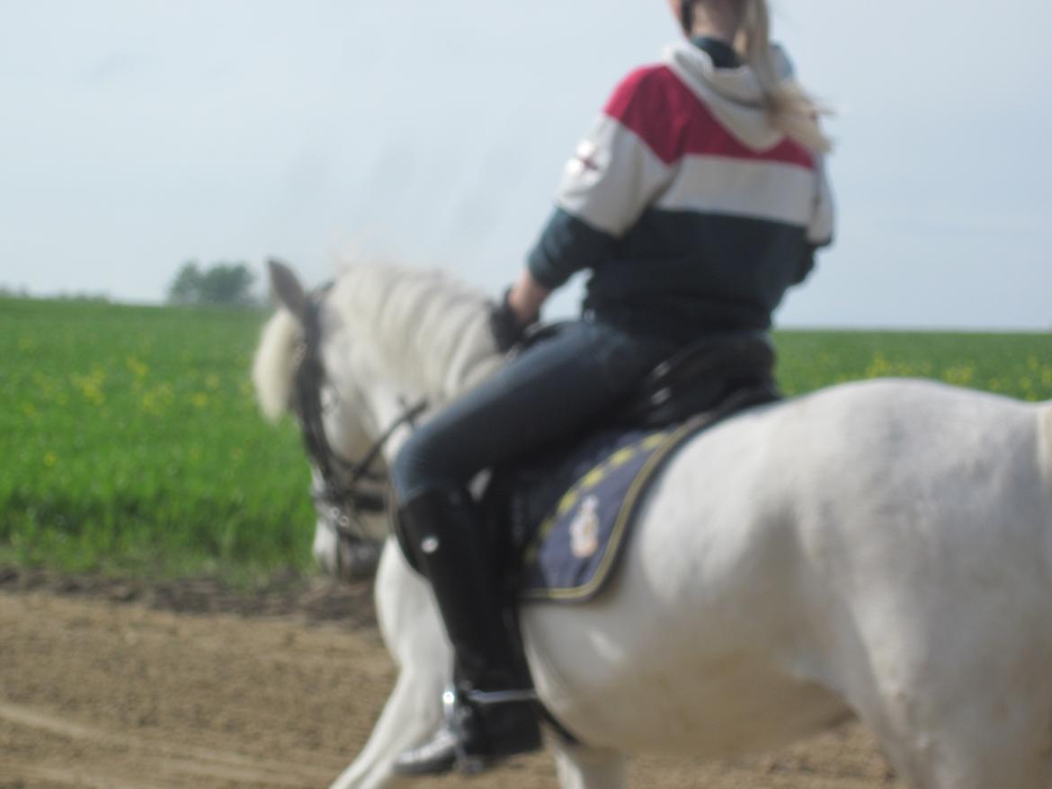 Anden særlig race Truska - Truska, du er det bedste jeg ved!!<3 billede 15