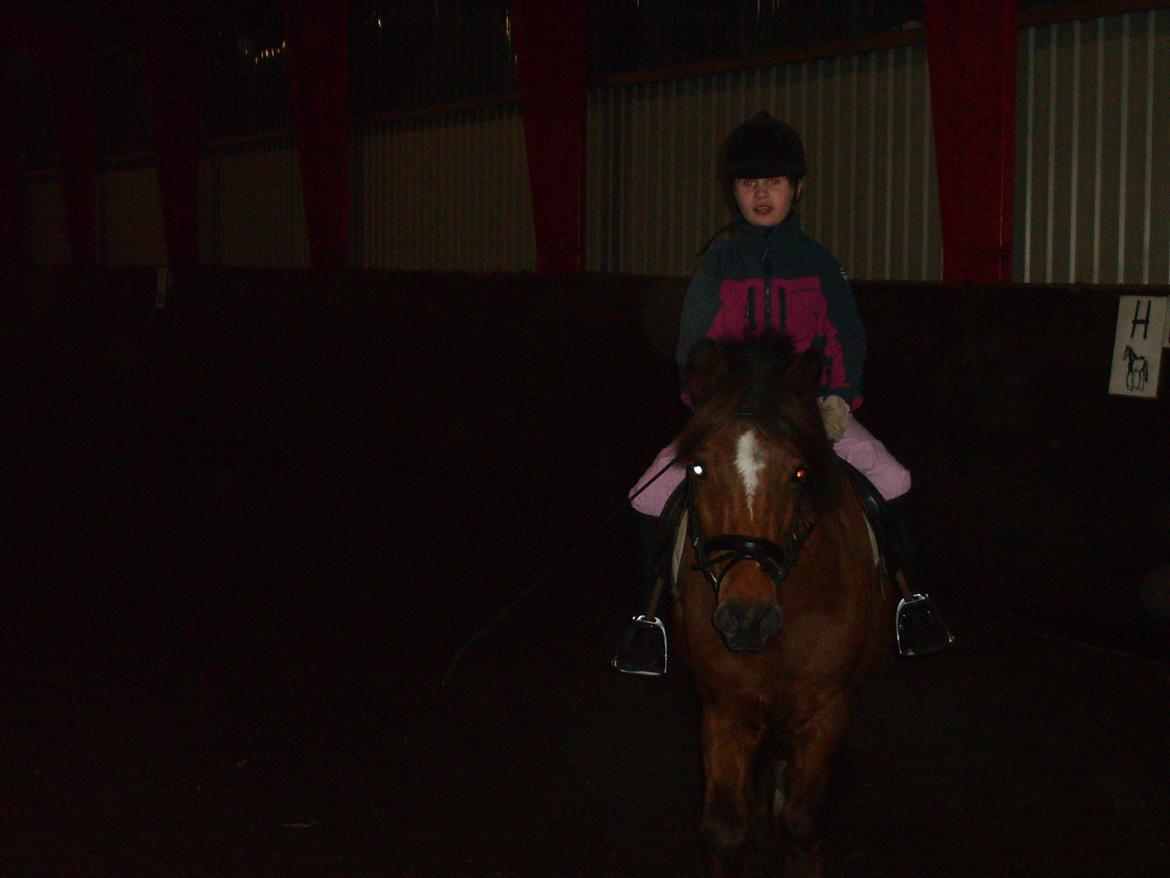 Anden særlig race Felix - Felix og jeg  billede 7