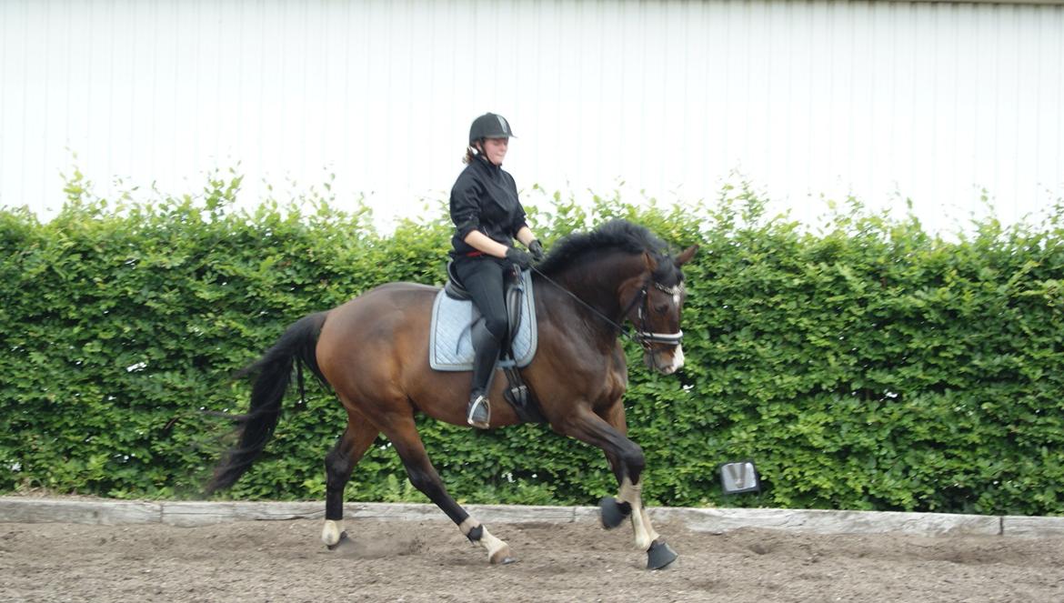 Oldenborg Kathu billede 5