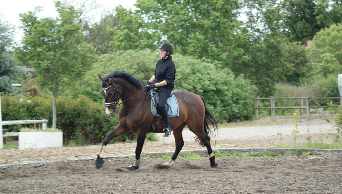Oldenborg Kathu billede 7