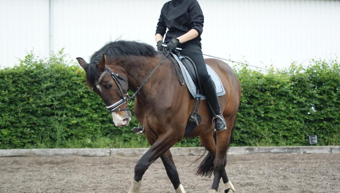 Oldenborg Kathu billede 8