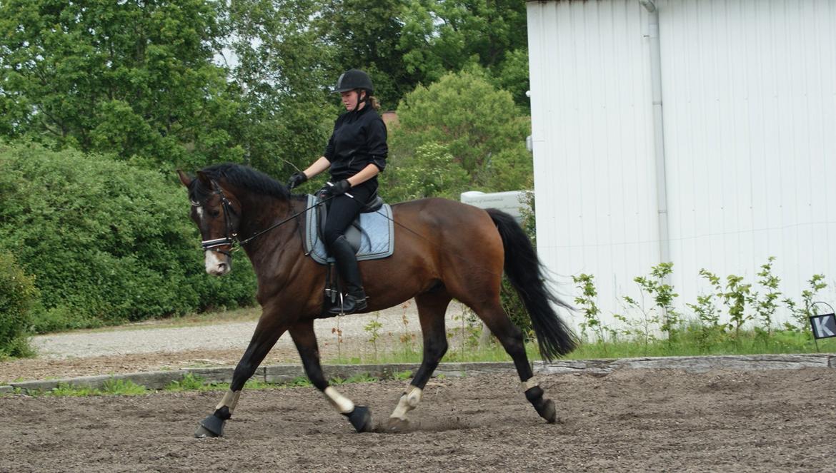 Oldenborg Kathu billede 11