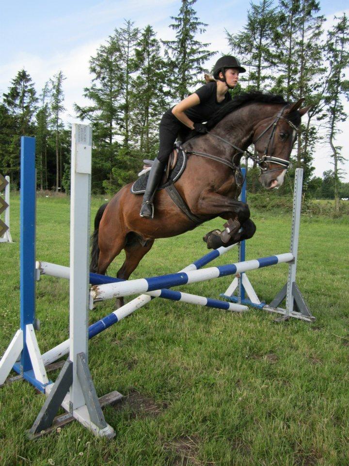 Oldenborg Kathu billede 20