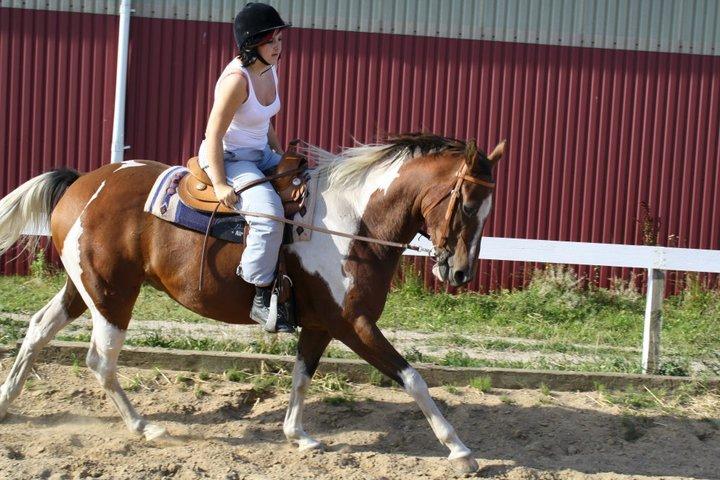 Paint Silent Shooting Star (Spooky) billede 14