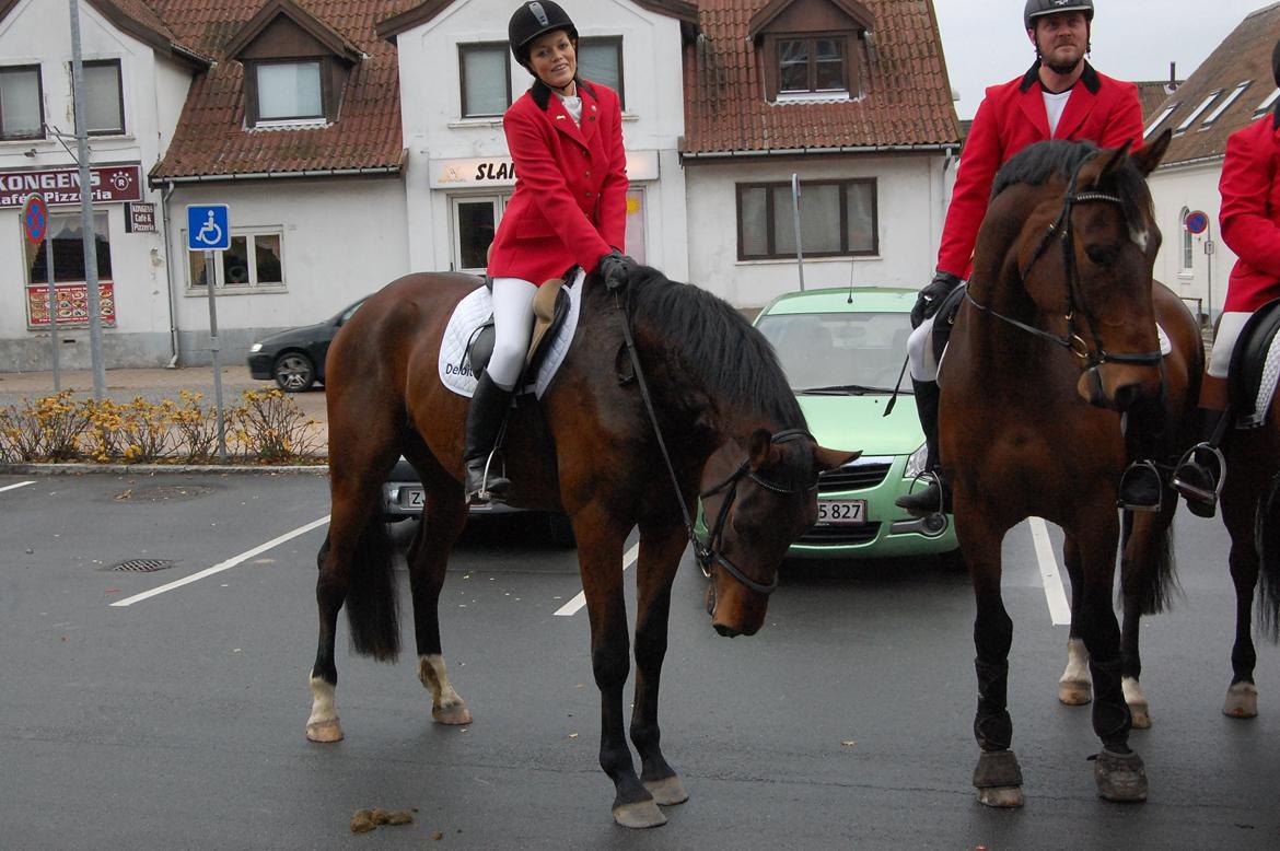 Anden særlig race Bruno Hartvig - Bruno November 2012 (3½ år), med til bryllupscermoni.  billede 13