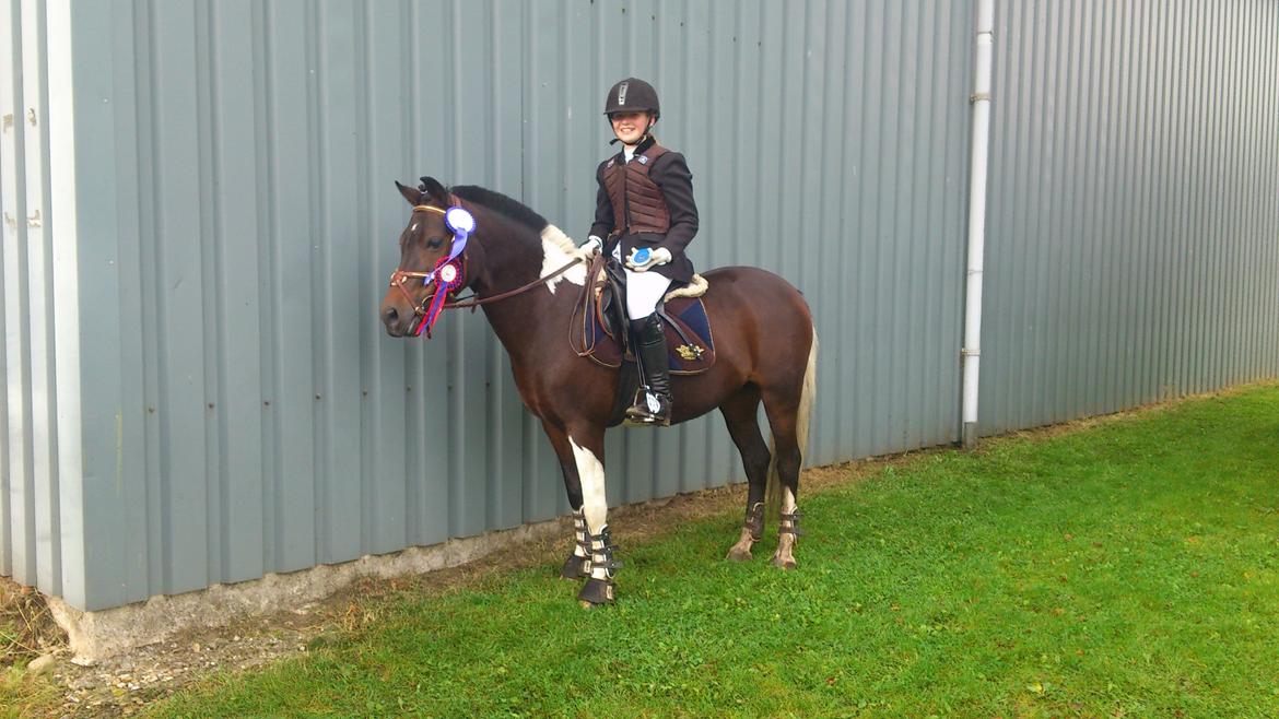 Pinto Spirit - mig og spirit i viborg billede 17