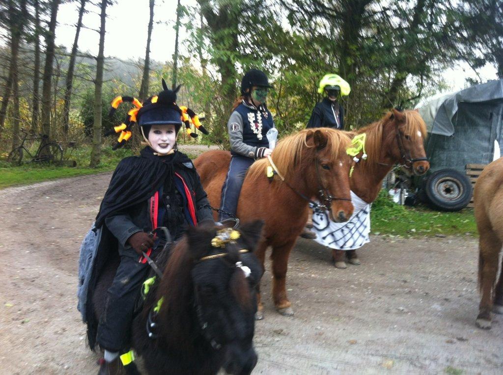 Shetlænder Paw af Ellebrud (himmelhest) - Paw og hans gamle part på vej til halloween:)!! billede 9