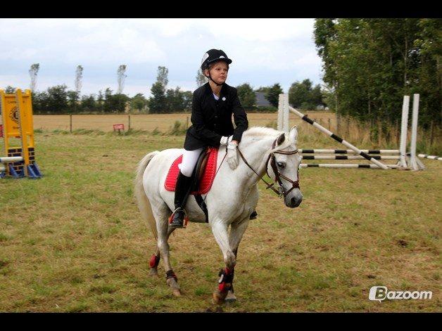 Welsh Pony (sec B) Korreborgs Figaro - På vej ud fra 0 runde :-) + det var første spring stævne på ham :-) billede 18