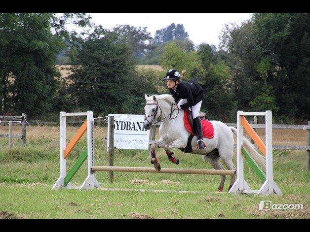 Welsh Pony (sec B) Korreborgs Figaro - I LOVE YOU <333333333 billede 20